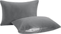 Ntbay 2 Pack Pillows with Velvet Pillowcases, Soft Cotton Down Alternative 13x18 Zippered Pillows for Sleeping in Crib Bed - Machine Washab…