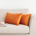 NiNi ALL Decorative Throw Pillow Covers Pack of 2, Halloween Velvet Cushion Case for Couch Bedroom Living Room Outdoor, Pillow Covers…