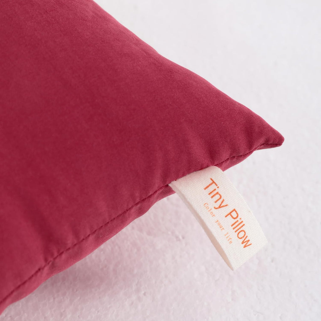 Ntbay Tiny Pillows, Down Alternative 7"x11" Microfiber Mini Pillow for Travel, Pets, Soft Machine Washable Small Pillows for Neck, Wrist, L…