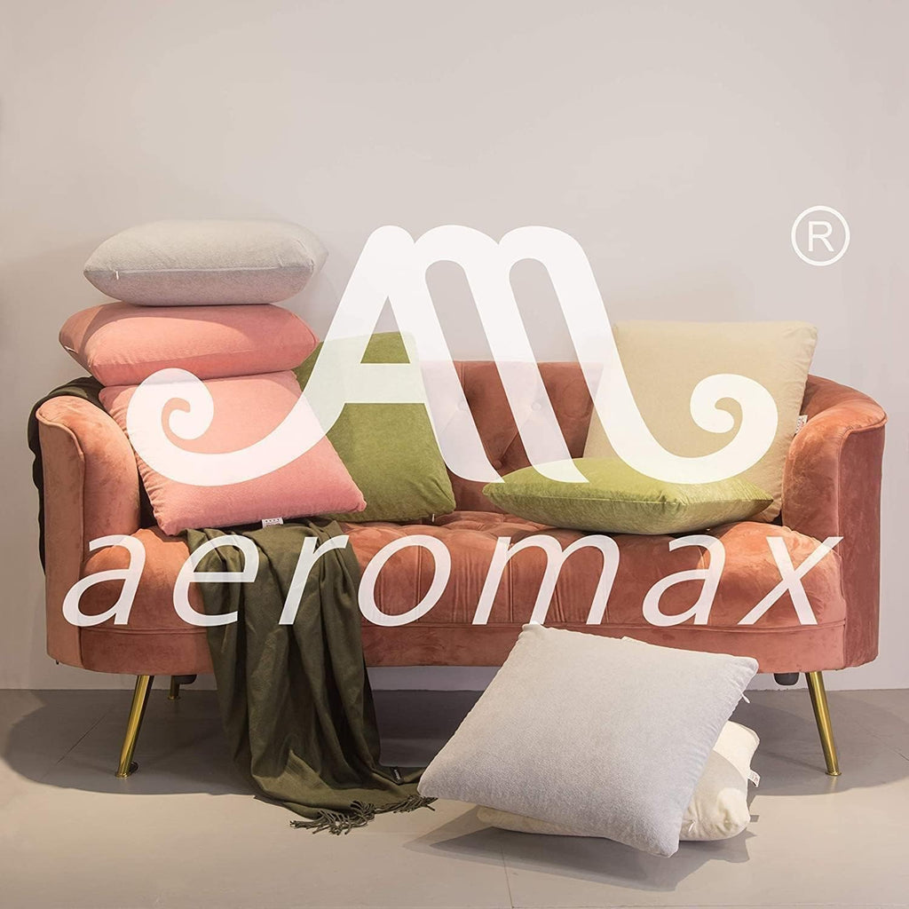 Amaeromax AM AEROMAX 12 × 20 Pillow Insert (Pack of 2) Memory Foam Lumbar Support Throw Pillow Sham Rectangular for Decorative Cushion Bed…
