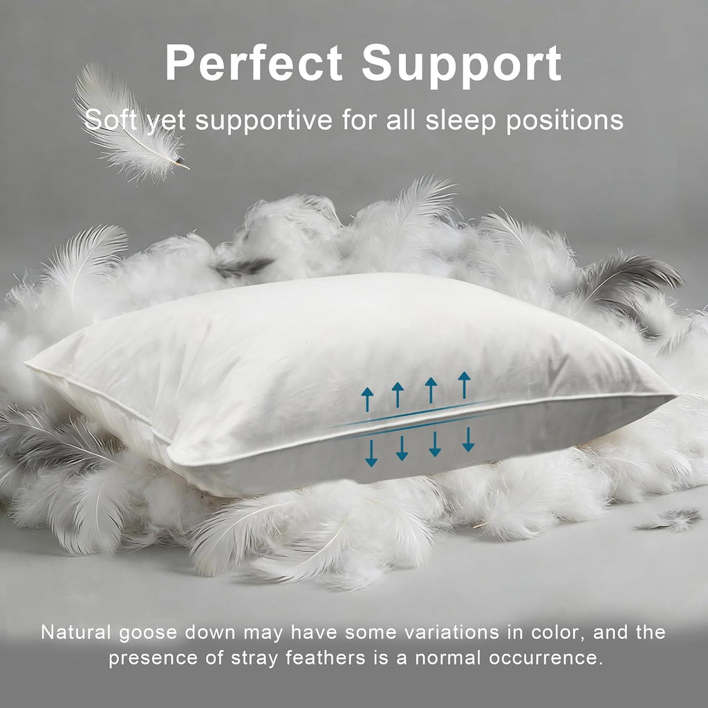 Goose Down Pillow, Hotel Quality with Feather Fill, 750 Fill Power King Size - 2 Pack with Pillowcase for Master Bedroom, Support for…