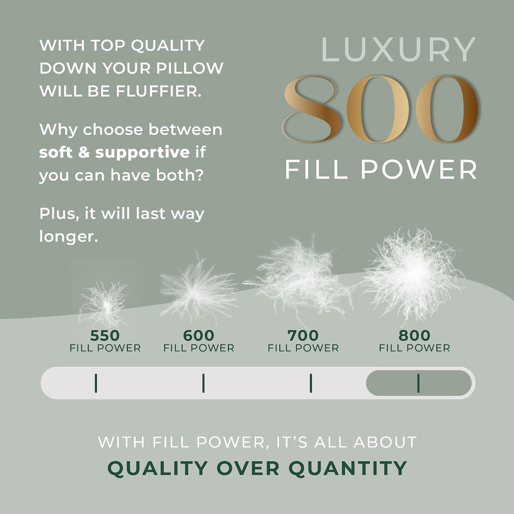 East Coast Bedding European Pure Down Pillow, 800 Fill Power, 400 Thread Count Cotton Sateen Shell, King Firm