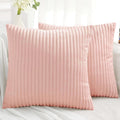 SimmoreHomeDecor Simmore Decorative Summer Throw Pillow Covers 16x16 Set of 2, Soft Plush Flannel Double-Sided Fluffy Lumbar Pillow Covers…