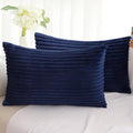 SimmoreHomeDecor Simmore Decorative Summer Throw Pillow Covers 12x20 Set of 2, Soft Natural Plush Flannel Double-Sided Fluffy Lumbar Pillow…