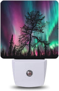 Aurora Forest Night Night Lights Plug into Wall, Night Light with Dusk to Dawn Sensor for Bedroom Bathroom Kitchen Hallway Stairs…