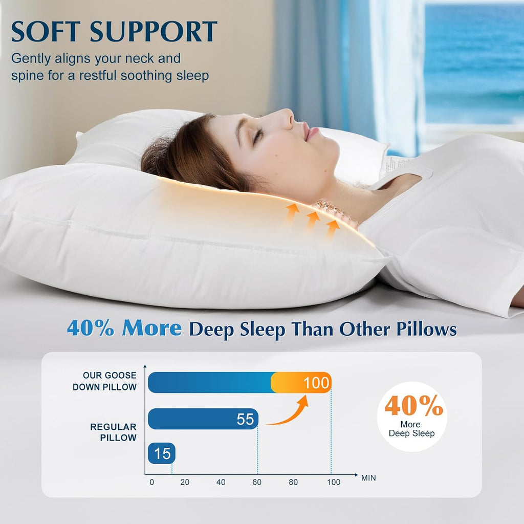 Lianlam Goose Feather Down Pillow Queen Size, 3-Chamber 5 Star Hotel Pillow for Deep Sleep, Soft Bed Pillows for Neck, Perfect for Side, B…