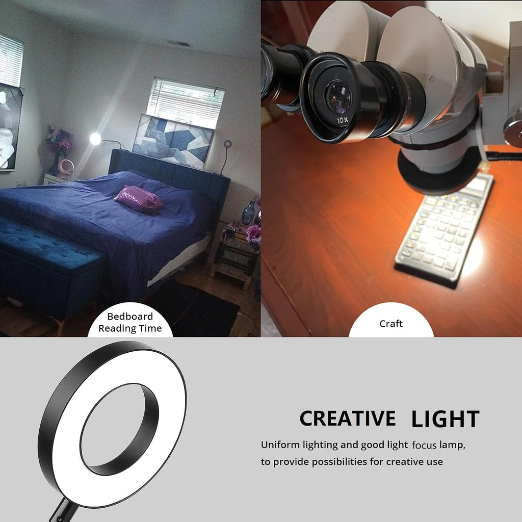 Woputne Desk Clip on Lamp for Reading Home Office, with 5V 2A Adapter, 10 Dimmable Brightness 3 Modes, Clamp Reading Light for Bed…