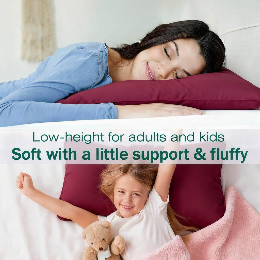Flat Ultra Thin Bed Pillows Standard/Queen Size Pillow Set of 2 Extra Soft Down Alternative for Stomach Back Sleeper Burgundy