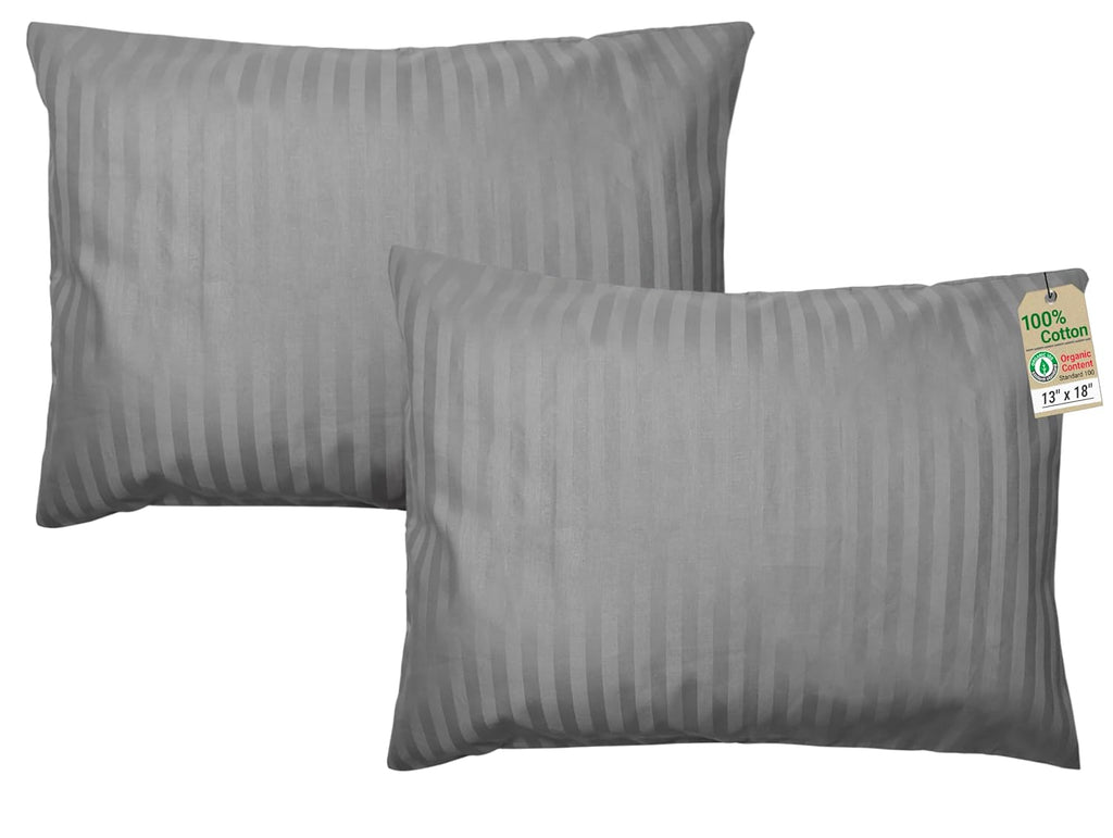 ZPECC-ABrandThatHasBeenFocusedOnBeddingFor20Years ZPECC Toddler Pillow with Pillowcase 2 Pack - 13x18 Organic Cotton Hypoallergenic Kids Pi…