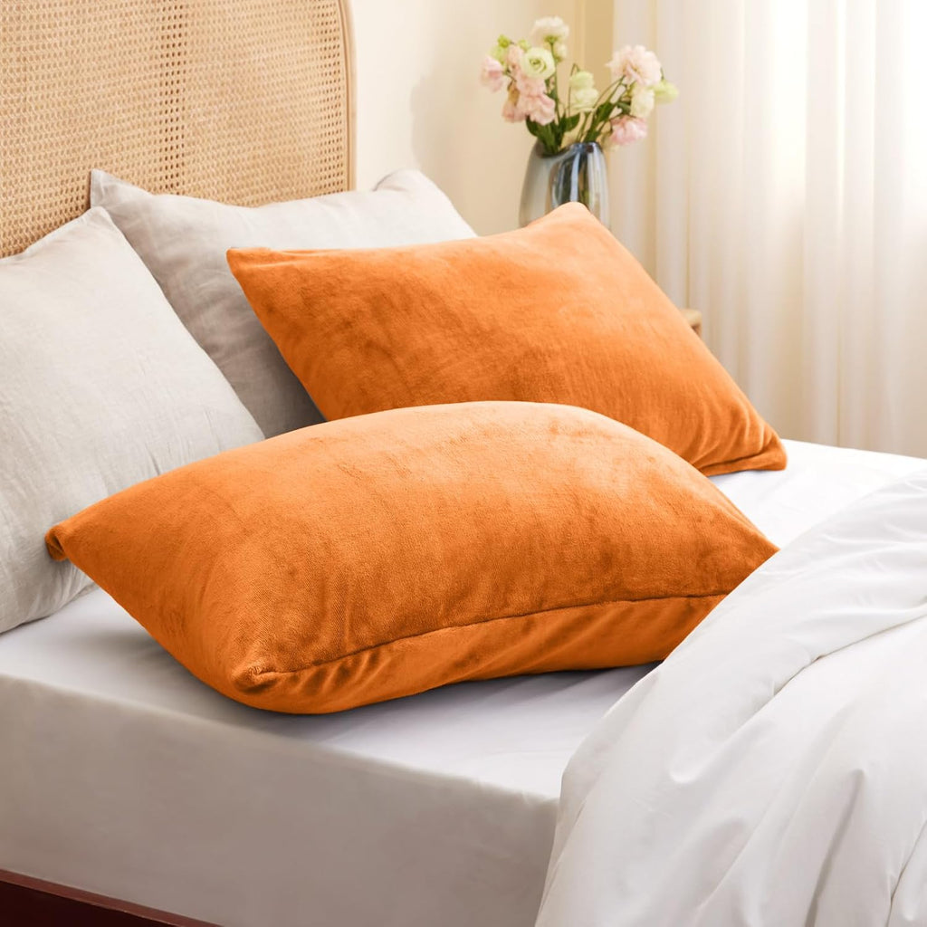 Bedelite Flannel Pillow Cases Queen Size Set of 2, Super Soft Fleece Pillowcases with Zipper for Bedroom, Sofa, Luxury Cozy Fuzzy Velvet Pi…