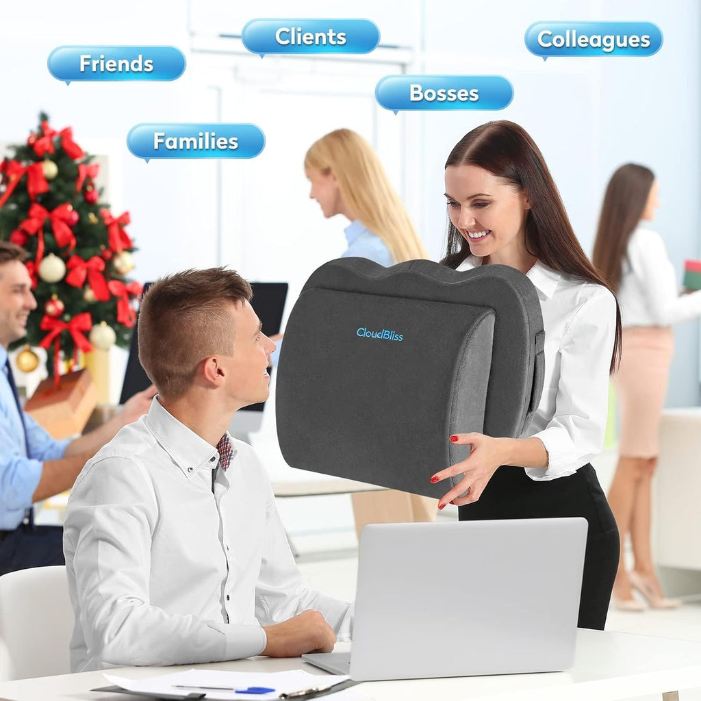 CloudBliss Lumbar Support Pillow & Seat Cushion Set for Office Chair, Desk Chair, Wheelchair & Car – Memory Foam Back Support, Ergonomic Ch…
