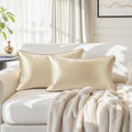 Homeideas Champagne Decorative Throw Pillow Covers 20x12 Set of 2, Glossy Faux Silk Lumbar Pillow Covers for Couch Sofa Bed Decor Luxury Su…