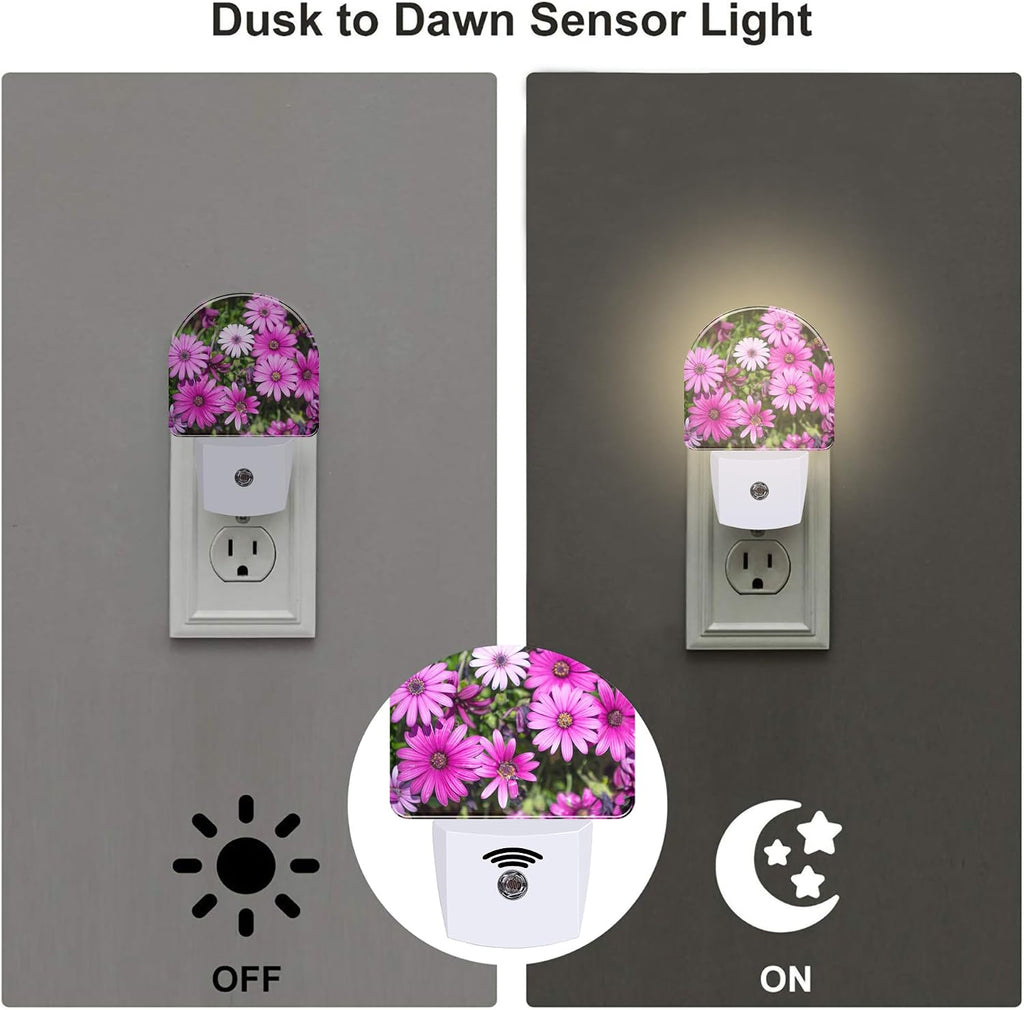 Purple Daisies Flowers Night Light, Beautiful Blooming Daisy Dusk to Dawn Night Light Plug in,0.5w Energy Saving Sleep Friendly…