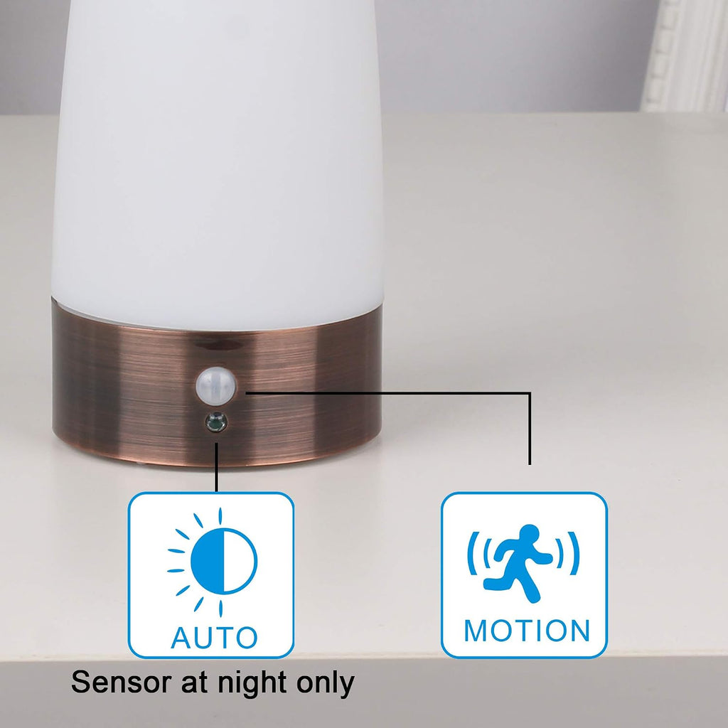 WRalwaysLX Retro LED Night Light for Home, Small Lamp with Wireless PIR LED Motion Sensor Indoor/Outdoor, Battery Operated Lamp for…