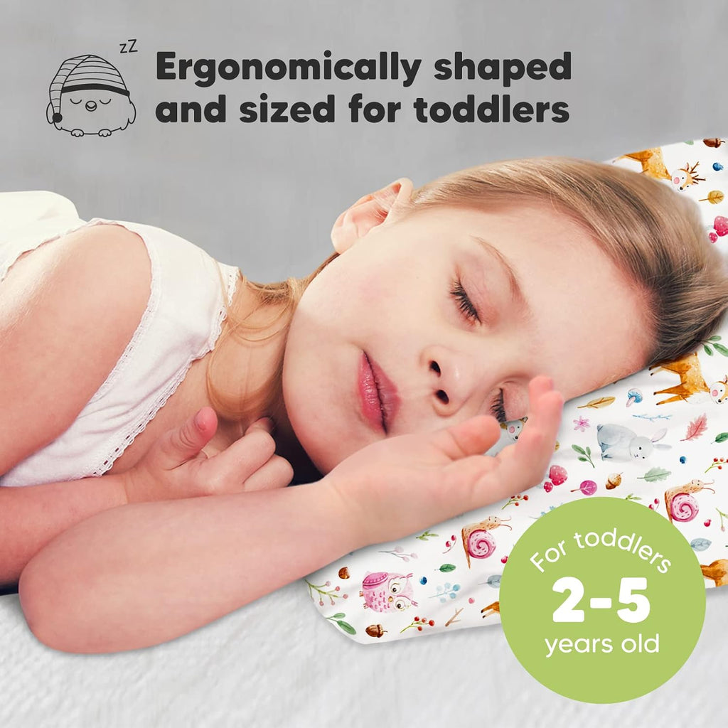 Toddler Pillow with Pillowcase - 13x18 My Little Dreamy Kids Travel Bed Pillows for Sleeping, Organic Cotton Small Pillowcase, Soft &…