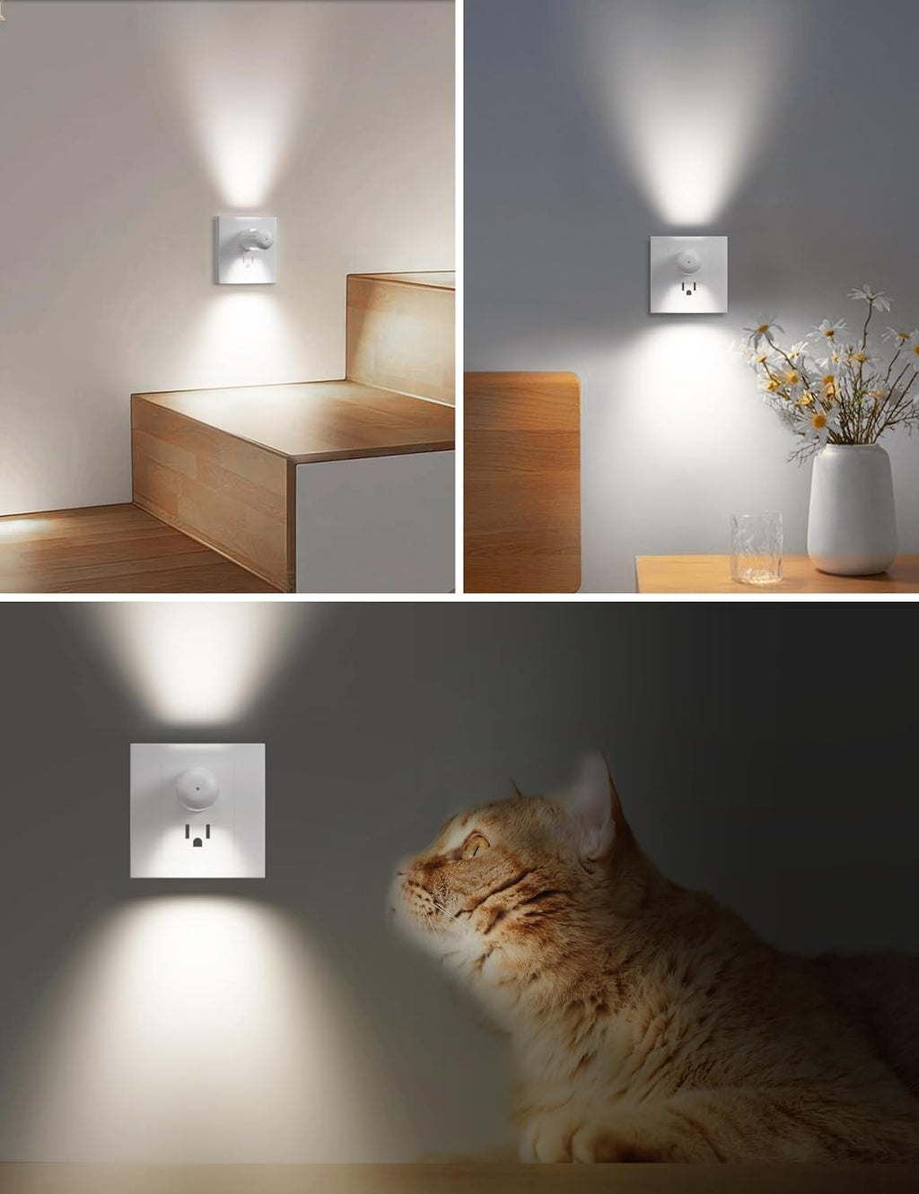 6 Pack Mini LED Night Light Plug in Wall - Dusk to Dawn Auto On/Off, 4000K Cool White 100 Lumen, 360° Adjustable Lighting for Bedroom…