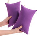 Ntbay Tiny Pillows, Down Alternative 7"x11" Microfiber Mini Pillow for Travel, Pets, Soft Machine Washable Small Pillows for Neck, Wrist, L…