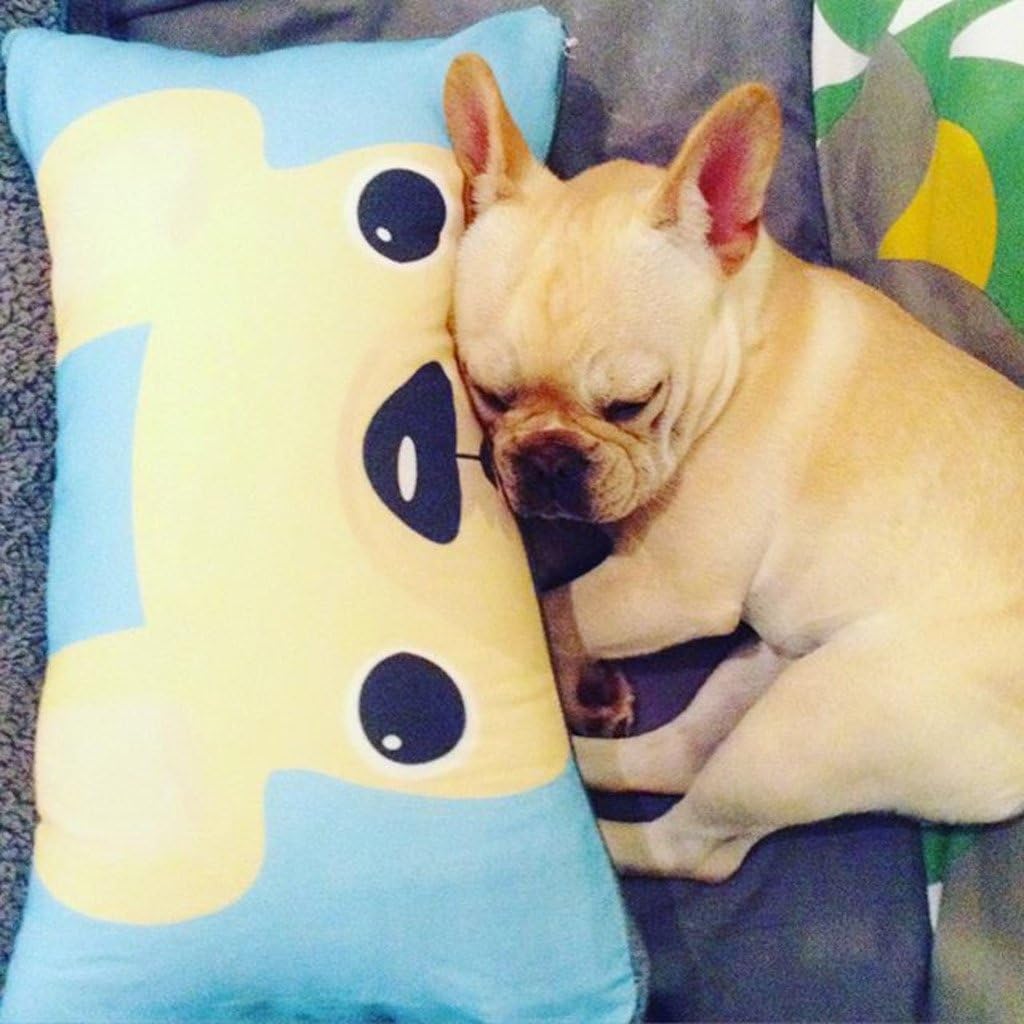 Shop&Three Custom Design Photos or Text Outdoor/Indoor Throw Pillowcase, Personalized Pet Photo Pillow, Love Photo Throw Pillowcases…