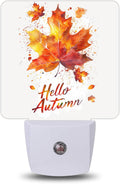 Night Light, Autumn Maple Leaves Night Lights Plug into Wall Decor for Bedroom Bathroom Hallway Kitchen, Dusk to Dawn Sensor Gift for…