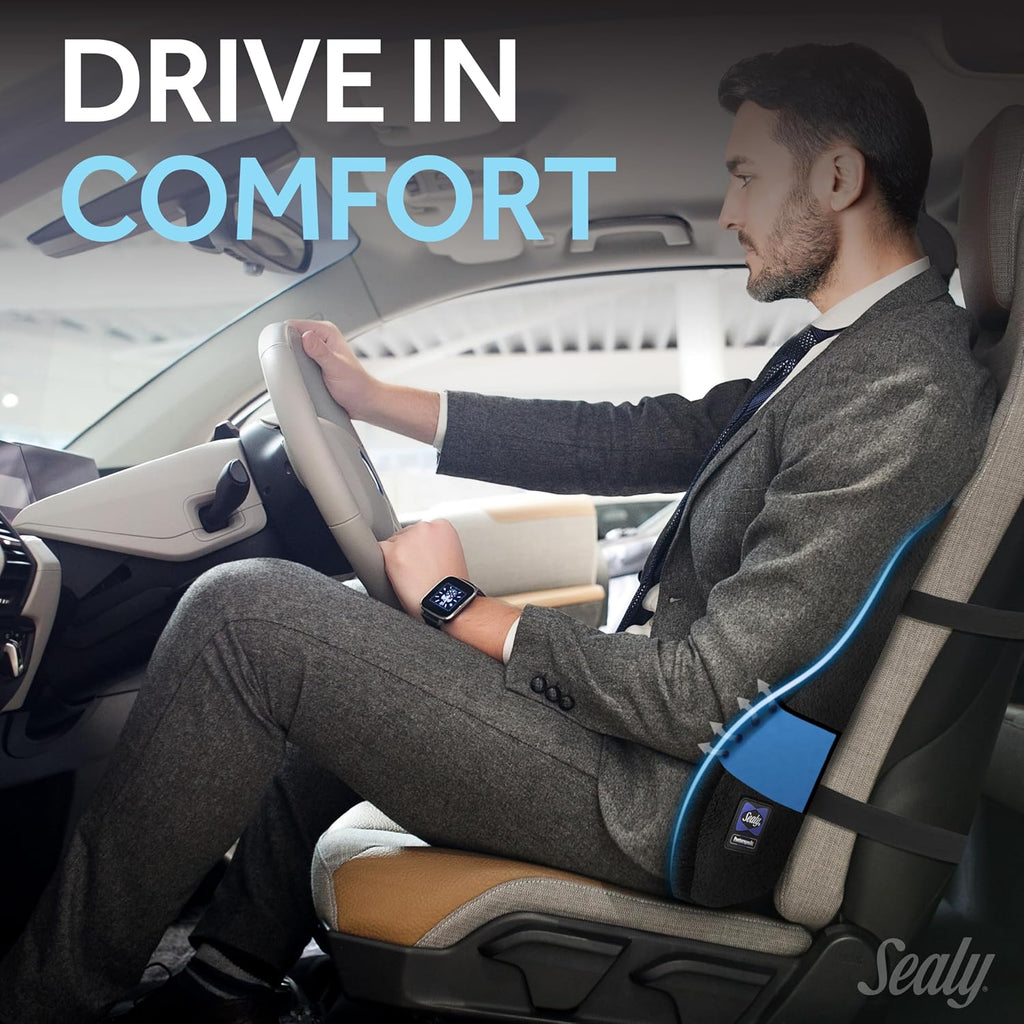 Sealy High Back Memory Foam Lumbar Support Pillow for Office Chair or Gaming Chair, Orthopedic Back Pillow for Car Seat, Black Black