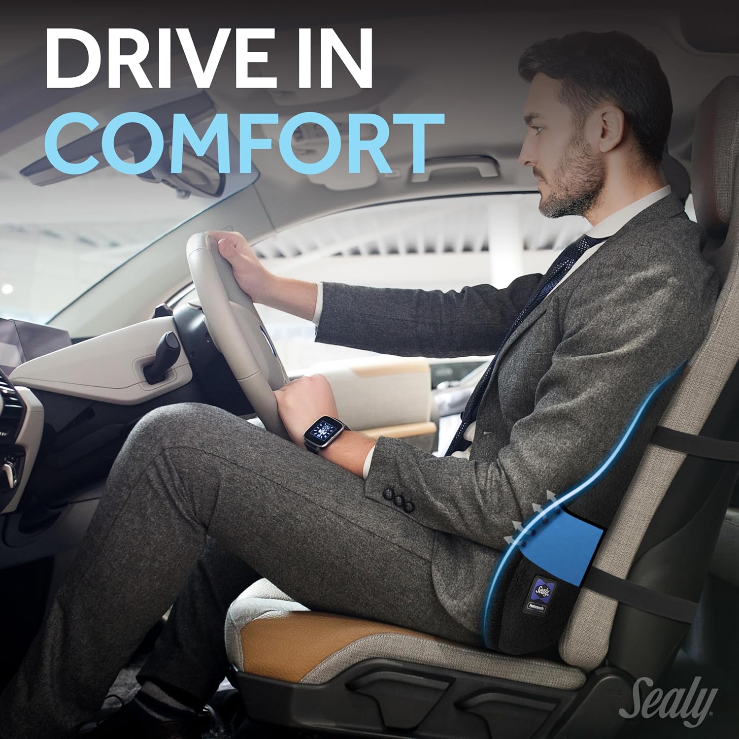 Sealy High Back Memory Foam Lumbar Support Pillow for Office Chair or Gaming Chair, Orthopedic Back Pillow for Car Seat, Black Black
