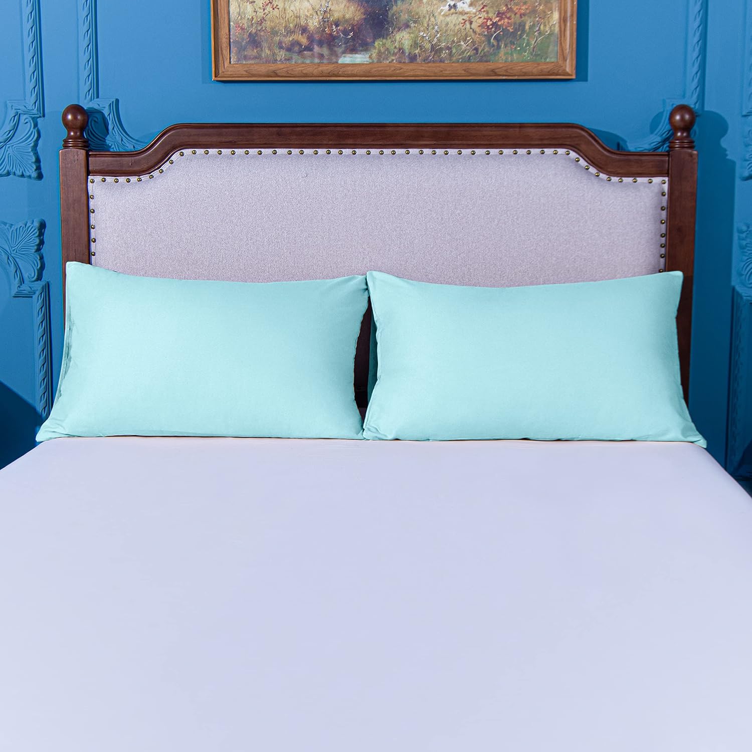 Ntbay Queen Pillowcase Set - 4 Pack Brushed Microfiber 20x30 Pillowcases - Soft, Wrinkle-Free, Fade-Resistant, Stain-Resistant, Aqua Pillow…