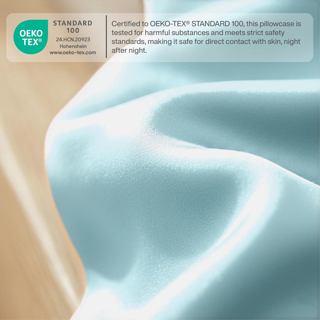 Queensbay Standard Pillow Cases Set of 2, Microfiber Cooling Pillowcases, Soft Breathable Envelope Closure Pillow Covers, Wrinkle Free Easy…