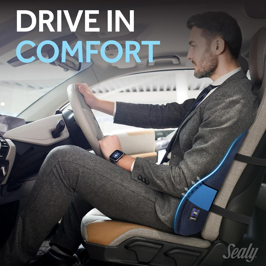 Sealy High Back Memory Foam Lumbar Support Pillow for Office Chair or Gaming Chair, Orthopedic Back Pillow for Car Seat, Navy