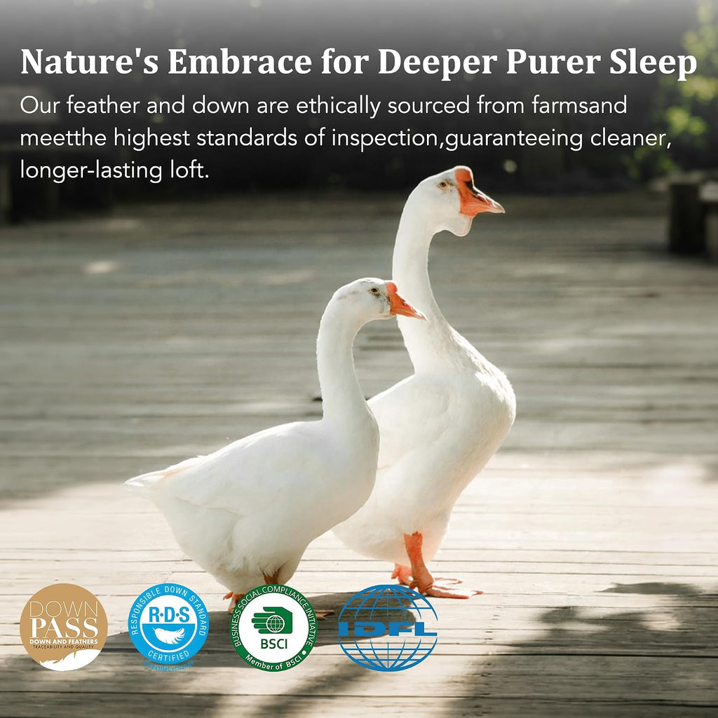 Down Bed Pillows Standard Size Set of 2, Luxurious Hotel Pillow for Back, Stomach and Side Sleepers, Downproof, Soft, Fluffy, Breathable…