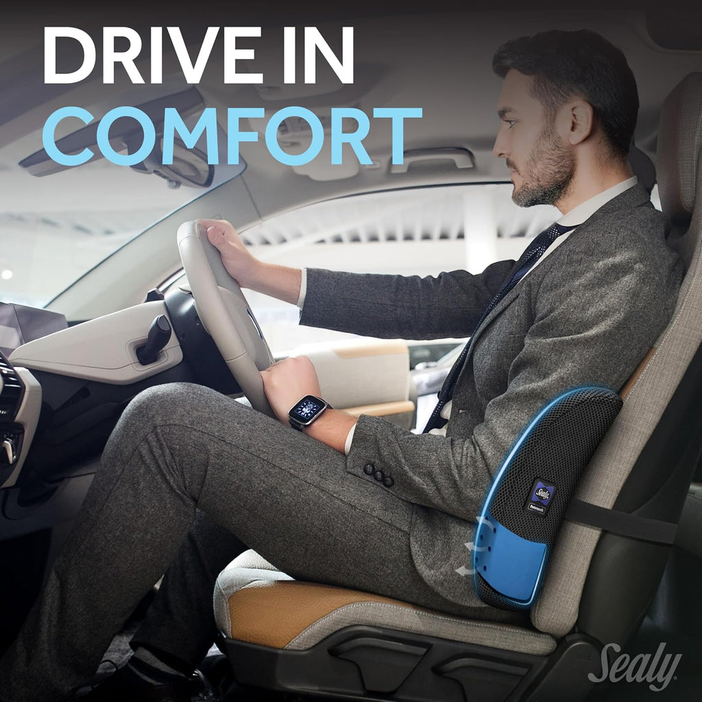Sealy Lumbar Support Pillow with Cooling Gel – Ergonomic Office Chair Cushion for Back Support – Memory Foam Back Pillow for Car, Office…
