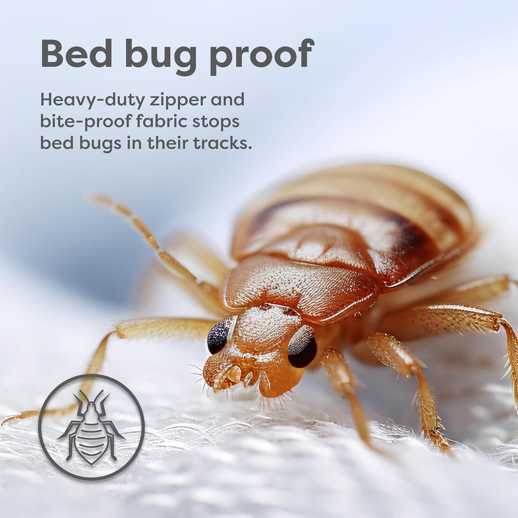 HOSPITOLOGY PRODUCTS Pillow Encasement- Zippered Bed Bug Dust Mite Proof Hypoallergenic - Sleep Defense System - Standard - Waterproof…