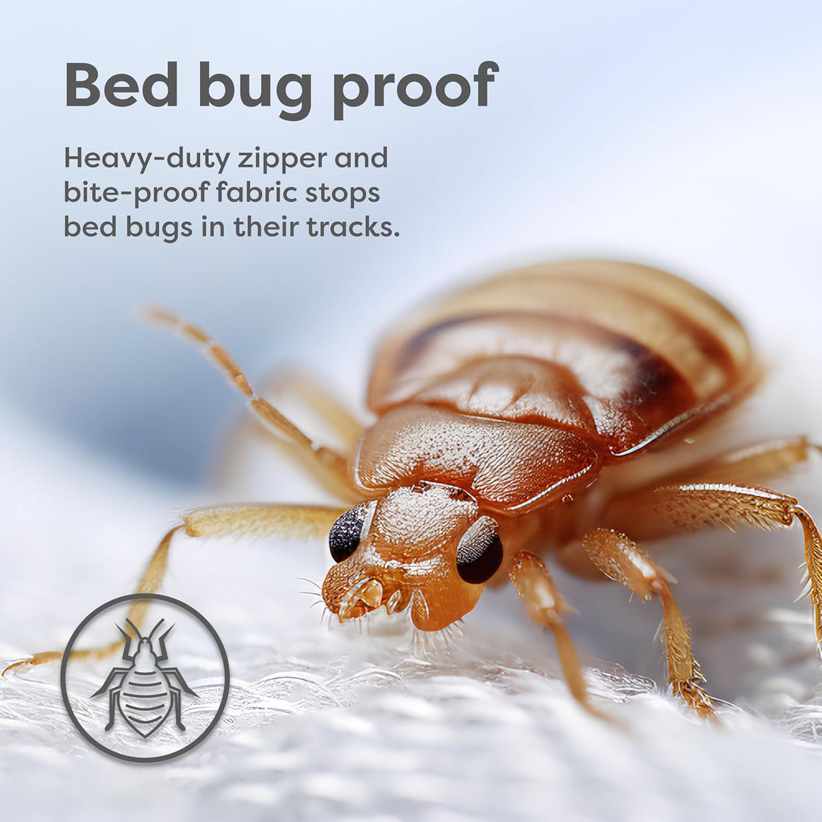 HOSPITOLOGY PRODUCTS Pillow Encasement- Zippered Bed Bug Dust Mite Proof Hypoallergenic - Sleep Defense System - King - Waterproof - Set…