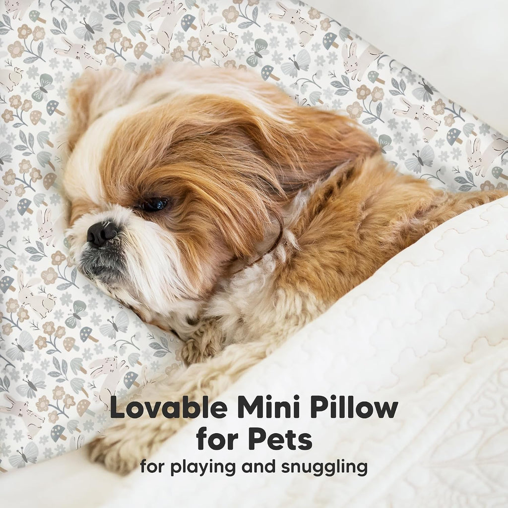 Mini Toddler Pillow with Pillowcase - 9x13 My Little Dreamy Travel Kids Pillow for Sleeping, Toddler Bed, Small, Tiny, Organic Cotton…