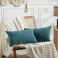 Fancy Homi 2 Packs Teal Lumbar Decorative Throw Pillow Covers 20x28 Inch for Living Room Couch Bed Sofa, Rustic Farmhouse Boho Home…