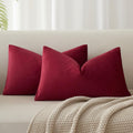 JUSPURBET Decorative Pillow Covers Set of 2 Velvet Throw Pillow Covers for Couch Sofa Bed Soft Lumbar Cushion Covers with Hidden Zipper…