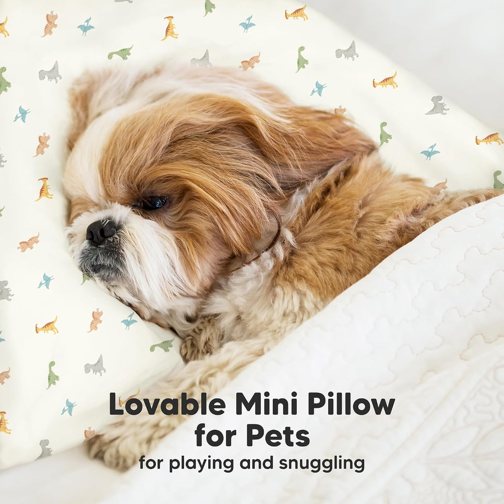 Mini Toddler Pillow with Pillowcase - 9x13 My Little Dreamy Travel Kids Pillow for Sleeping, Toddler Bed, Small, Tiny, Organic Cotton…