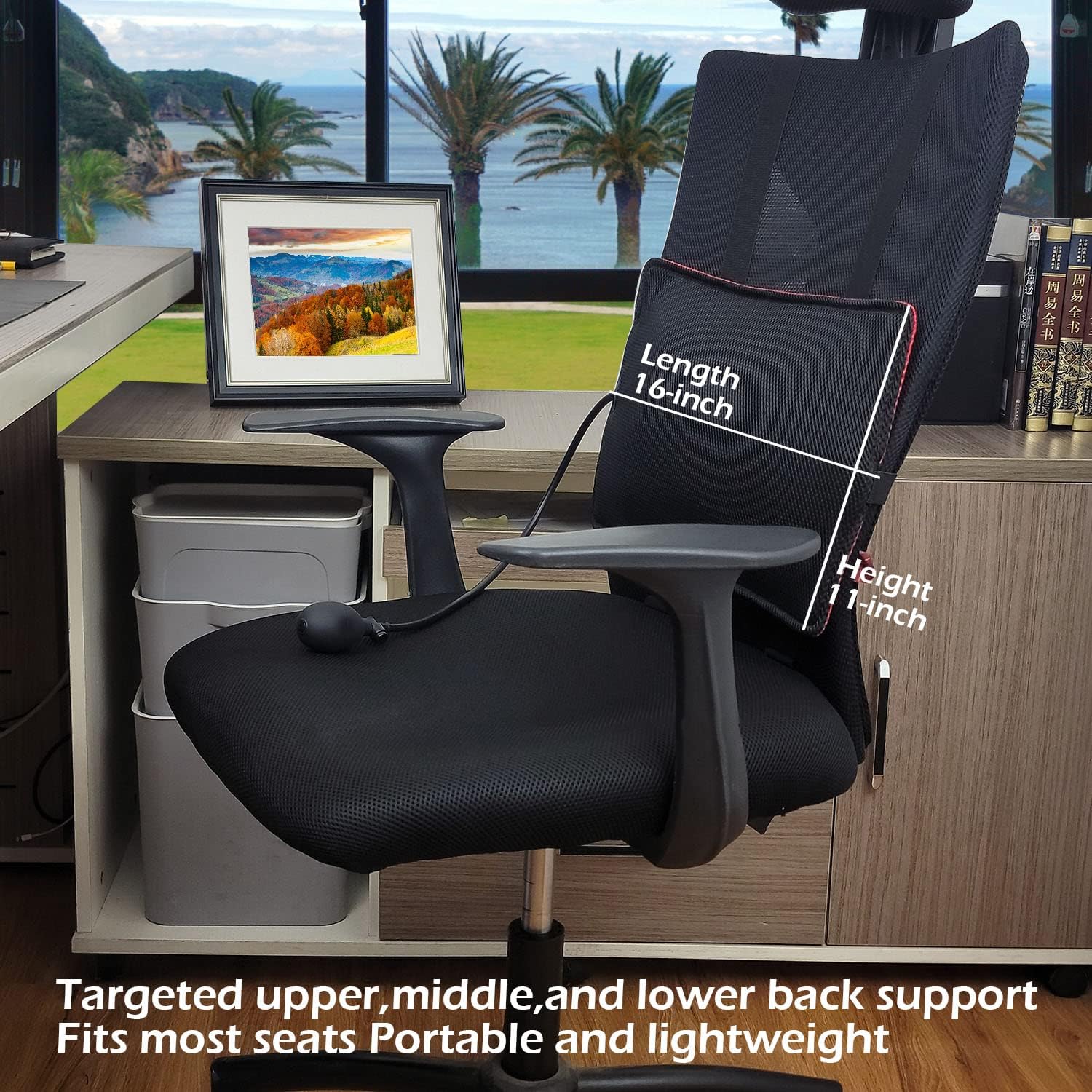 2Pack Inflatable Lumbar Support Pillow for Office Chair and Car Seat, Back Support Cushion with Air Pump for Reducing Lower Back Pain