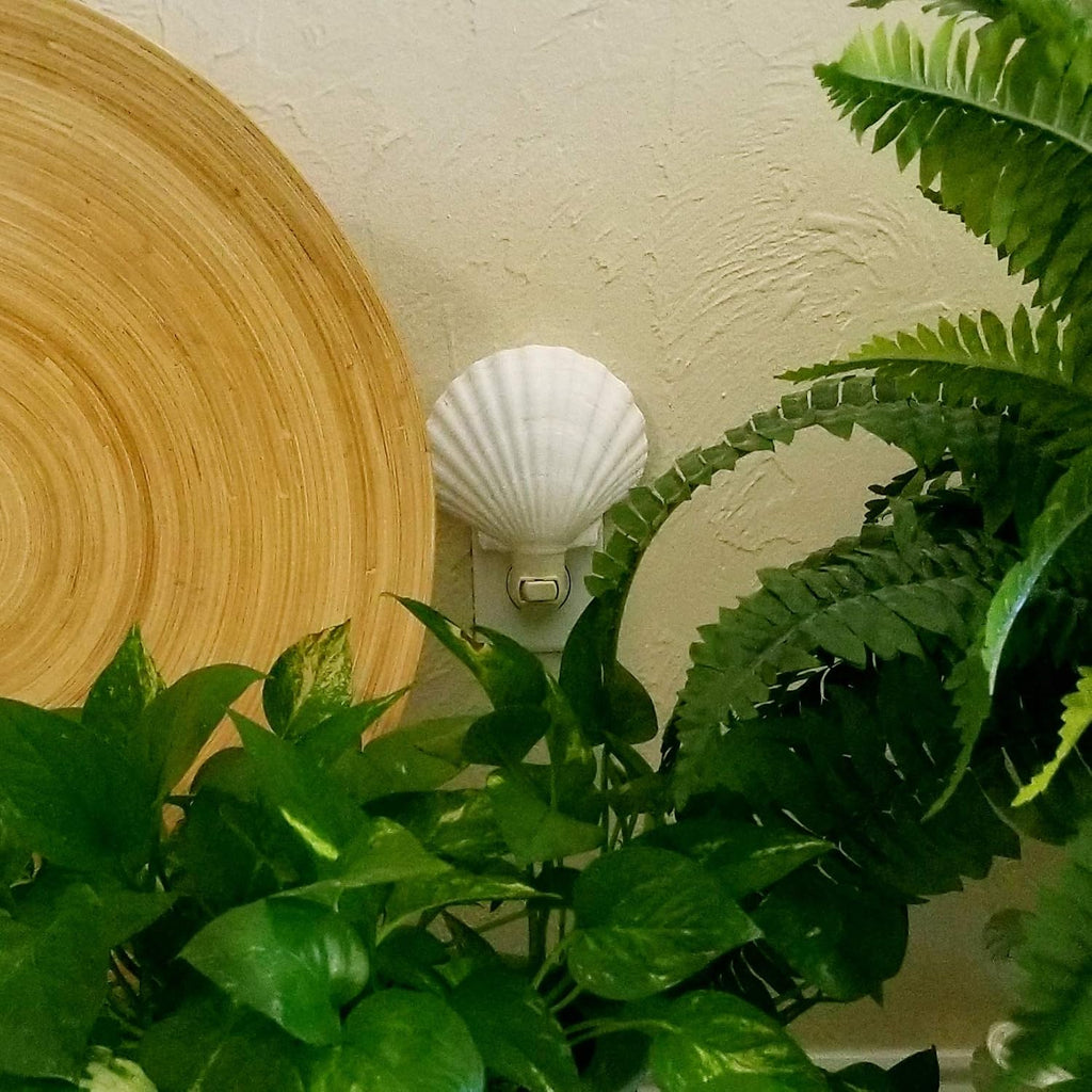 Tumbler Home Real Sea Shell Beach Night Light Real, Natural, Perfect for Beach Home Decor