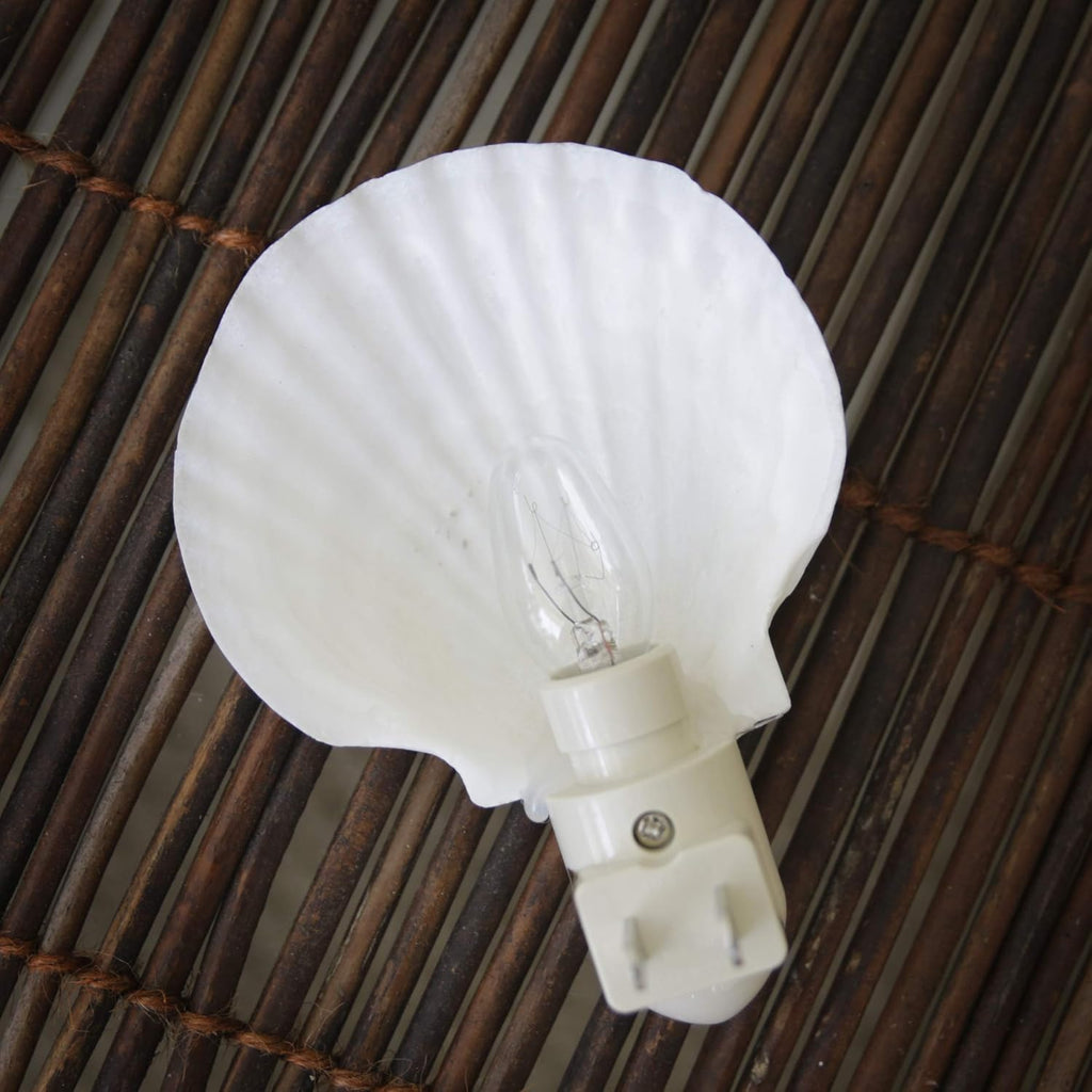 Tumbler Home Real Sea Shell Beach Night Light Real, Natural, Perfect for Beach Home Decor