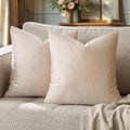 GIGIZAZAFocusingonhomedecoration GIGIZAZA 22x22 Beige Pillow Covers: Pack of 2 Champagne Vintage Throw Pillows Super Soft Velvet Covers - D…