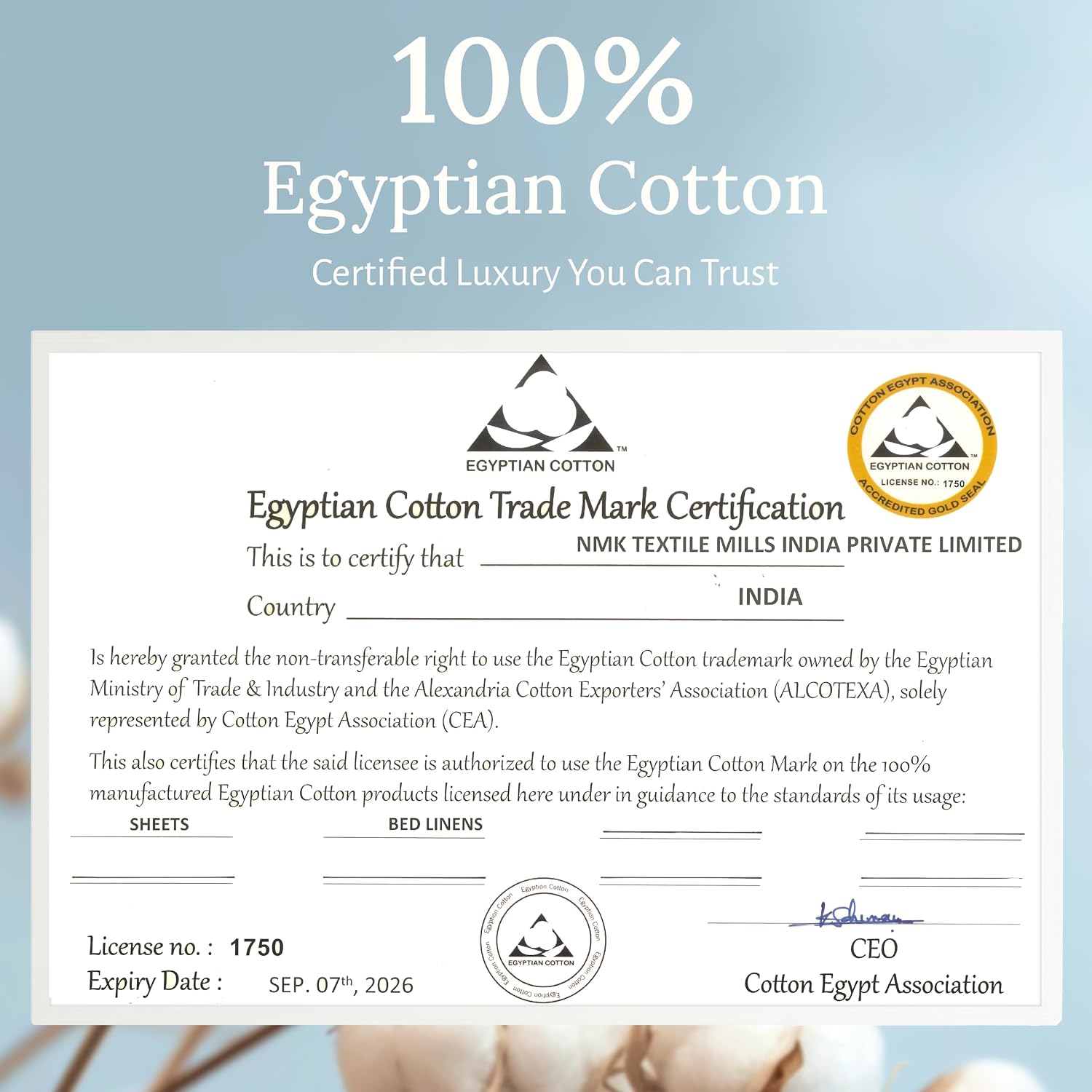 CaliforniaDesignDen California Design Den 100% Egyptian Cotton Pillow Cases Standard Size Set of 2, Hotel Cotton Pillow Cases, Soft and Bre…