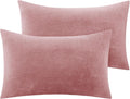Bedelite Flannel Pillow Cases Queen Size Set of 2, Super Soft Fleece Pillowcases with Zipper for Bedroom, Sofa, Luxury Cozy Fuzzy Velvet Pi…
