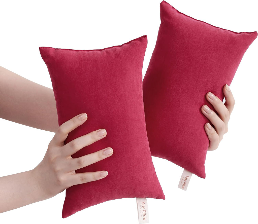 BEDSUM Tiny Pillows, 11x7 Mini Microfiber Small Pillow for Neck and Lumbar Support - Machine Washable Cushion for Office Desk…