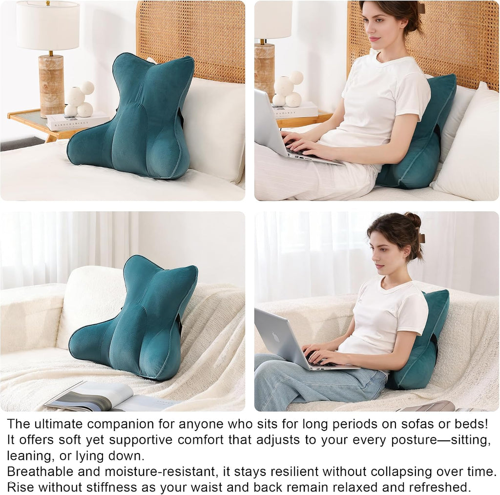 Ailuteie Lumbar Support Pillow (Pat. Pend) for Car Seat, Office Chair, Couch & Recliner, Ergonomic Back Support for Chair, Lower Back, wit…