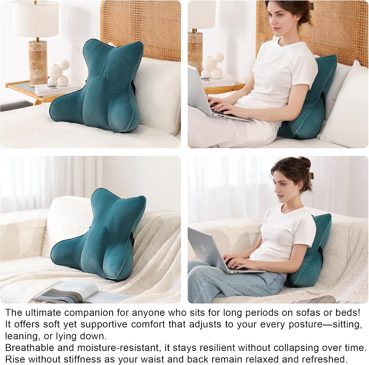 Ailuteie Lumbar Support Pillow (Pat. Pend) for Car Seat, Office Chair, Couch & Recliner, Ergonomic Back Support for Chair, Lower Back, wit…