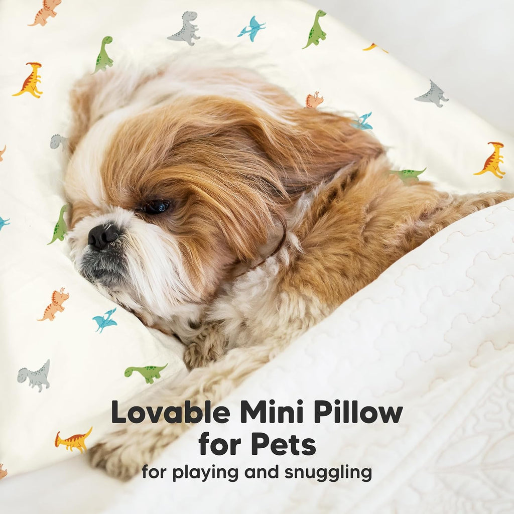 Mini Toddler Pillow with Pillowcase - 9x13 My Little Dreamy Travel Kids Pillow for Sleeping, Toddler Bed, Small, Tiny, Organic Cotton…