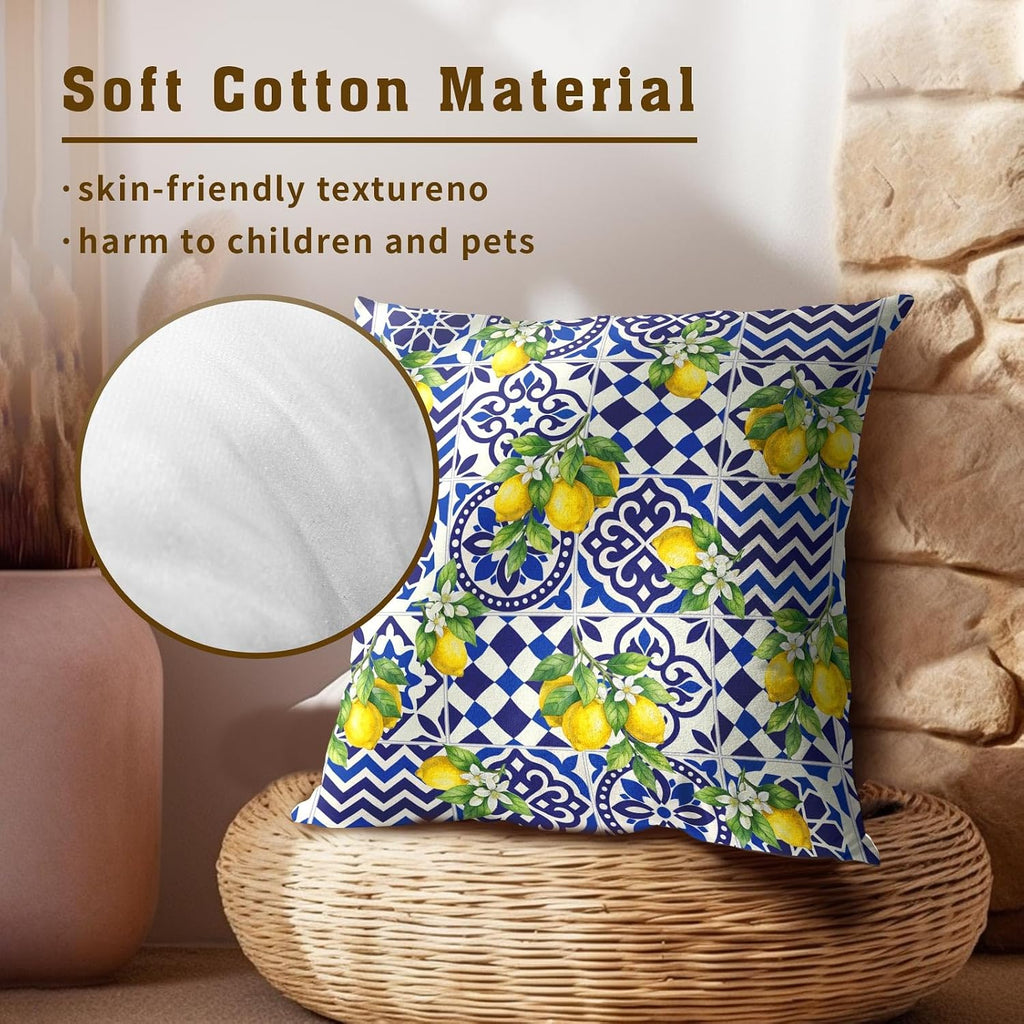 Lemon Mexican Tilt Pillow Covers 22x22 Inch Set of 2 Lemon Decor Italian Gifts Throw Pillow Cases Spring Summer Party Holiday Decorative…