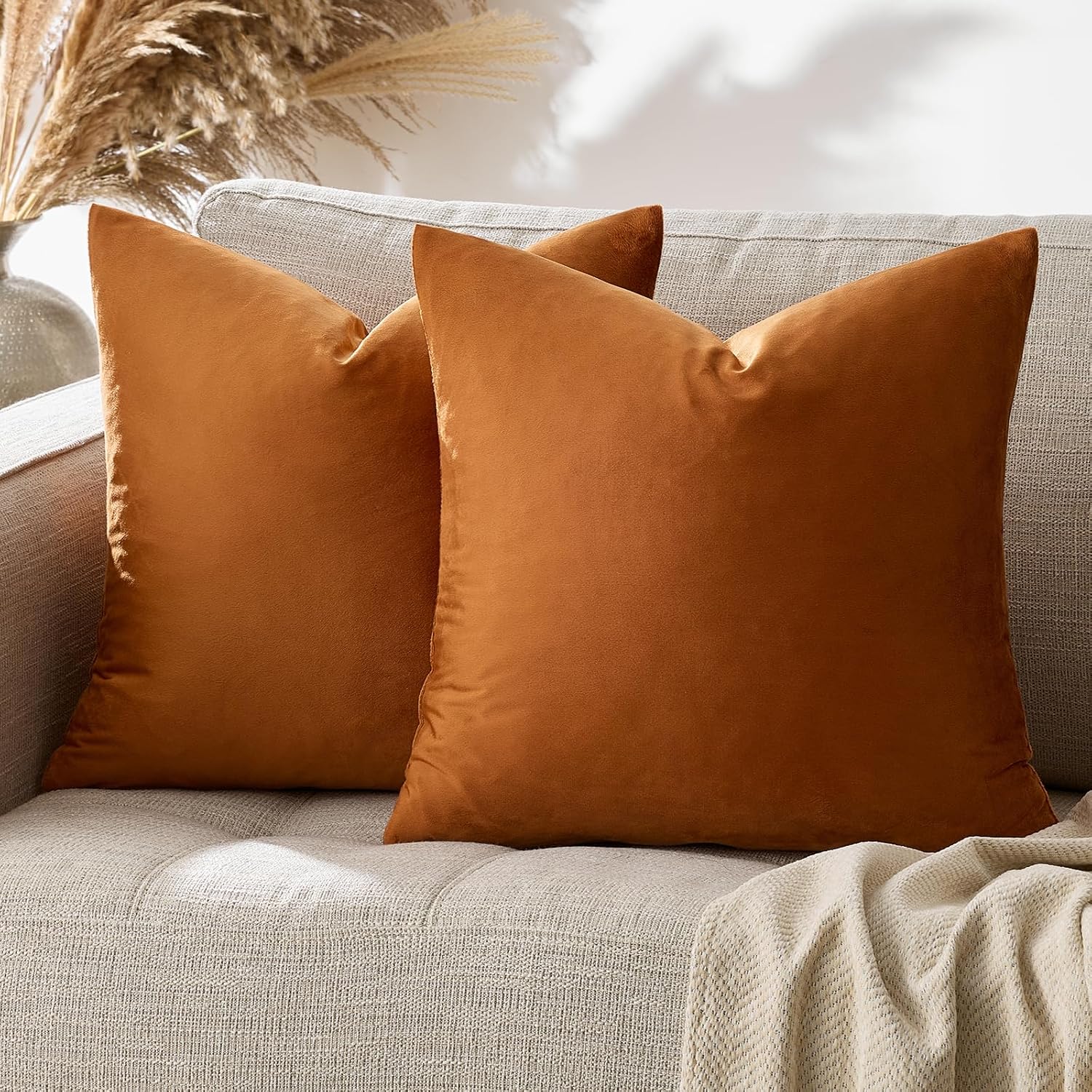GIGIZAZAFocusingonhomedecoration GIGIZAZA 18x18 Pillow Covers Set of 2 Velvet Throw Pillows Decorative Dark Burnt Orange Covers for Couch S…