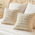 Bedelite Velvet Pillow Covers 18x18 with Zipper, 2 Pack Super Soft Square Pillow Covers for Bedroom, Sofa, Luxury Cozy Fleece Pillowcases f…