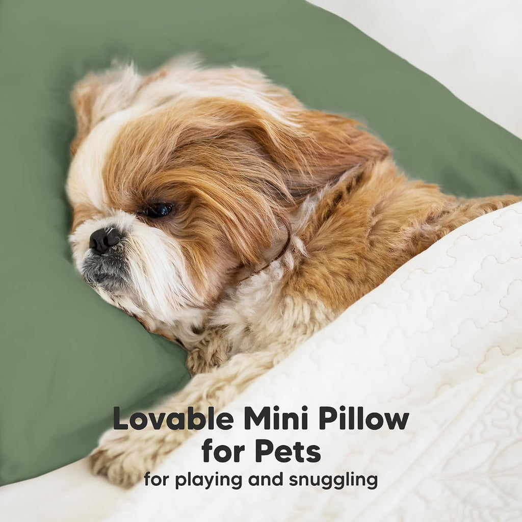 Mini Toddler Pillow with Pillowcase - 9x13 My Little Dreamy Travel Kids Pillow for Sleeping, Toddler Bed, Small, Tiny, Organic Cotton…